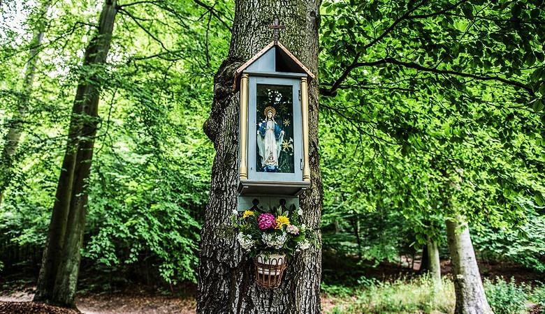 Catholic Sanctuaries 1 day tour from Krakow - 5 - Auschwitz Krakow Tours