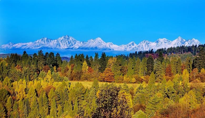 Visit Slovakia 1 day tour from Krakow - 7 - Auschwitz Krakow Tours