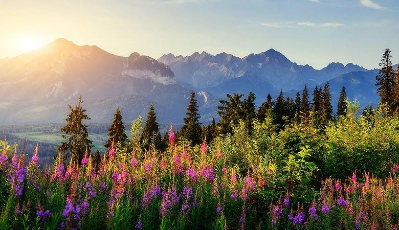Zakopane & Tatras 1 day tour from Krakow - 9 - Auschwitz Krakow Tours